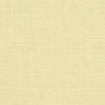 Ecru colour swatch.