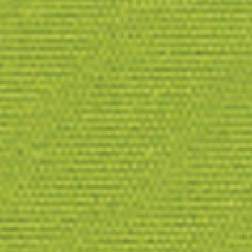 Lime colour swatch.