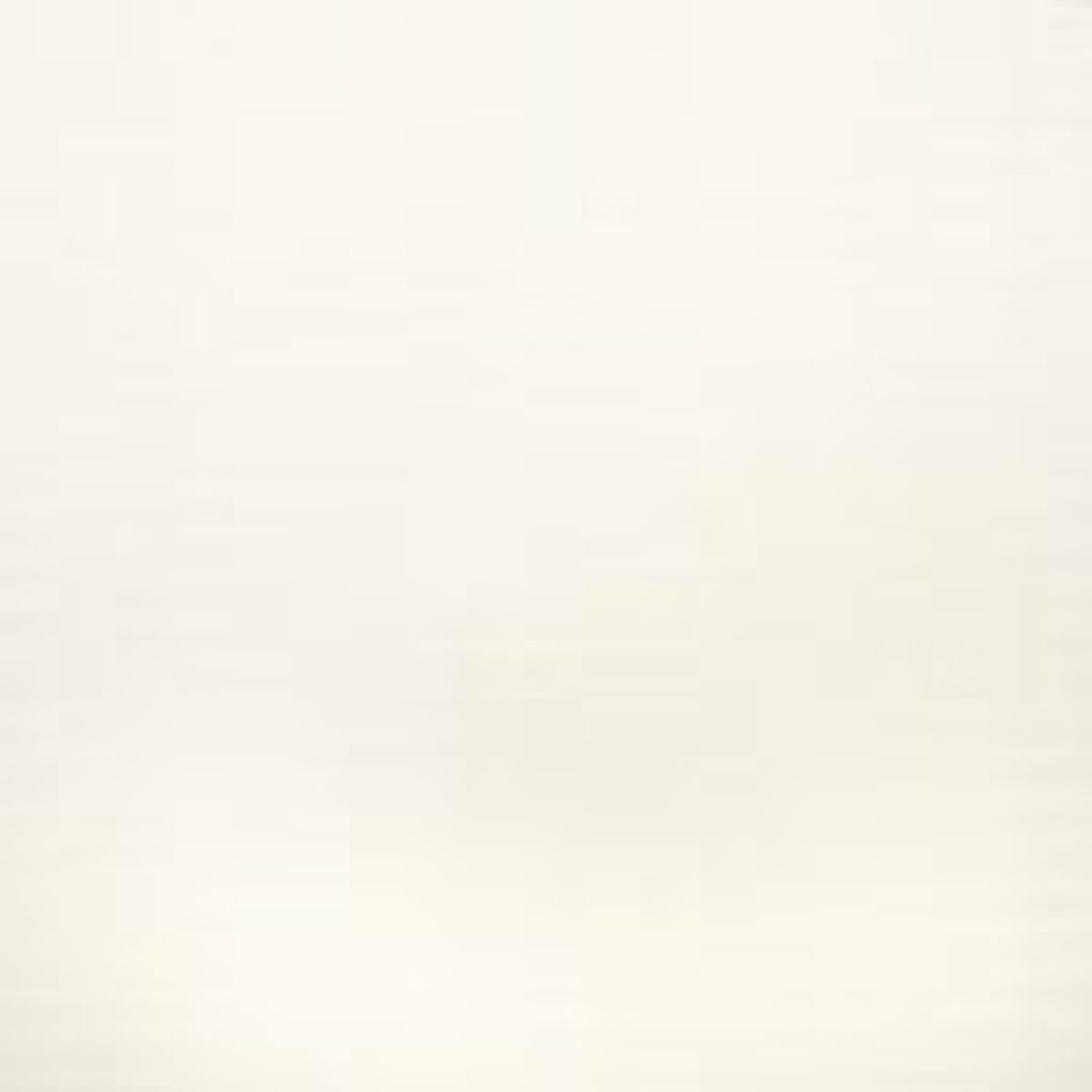White colour swatch.